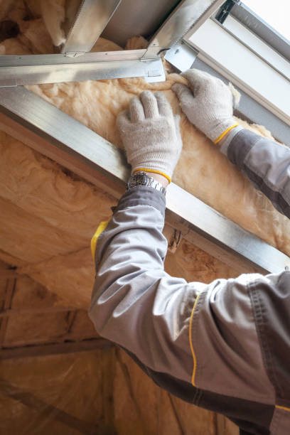 Best Insulation Installation Services in Portsmouth, OH